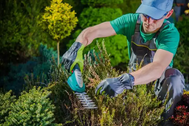 landscaping services East Tawas